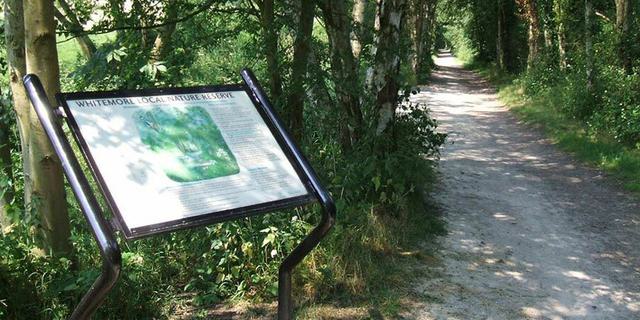 1220 biddulph way2 141143708