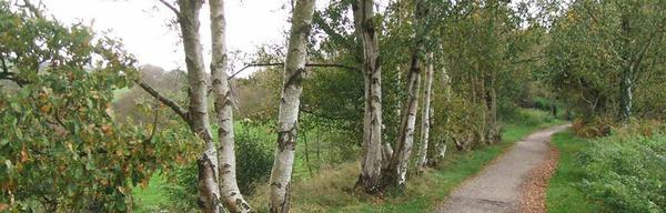 1220 Biddulph Way 1442440355