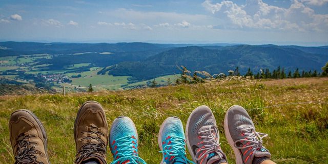 Amber Valley Walking Festival NEW