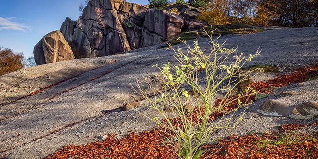 Black Rocks 003 1489539482