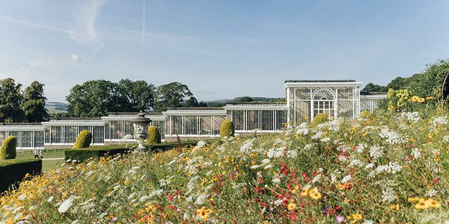 Chatsworth Gardens 3 new 1864458009