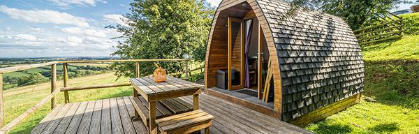 Damson Pod 1734696282