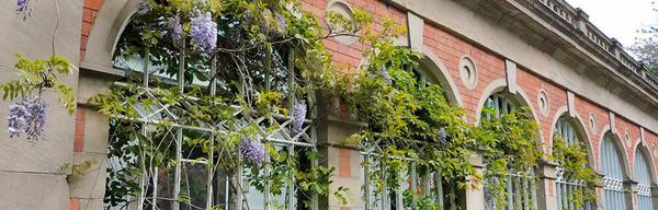 Derby arb 1 1962037868