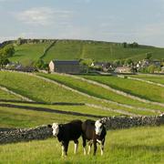 Fields at litton 1 92249059