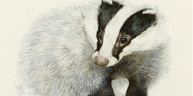 Irene Brierton artist