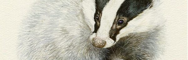 Irene Brierton artist