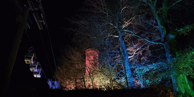 Lights of Abraham H of A cars and trees lit up jpg