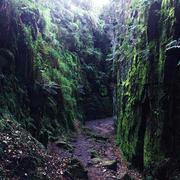 Luds church 459882107