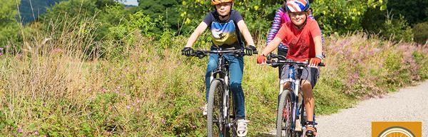 Matlock Route 4 1854415383