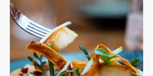 Peak Edge Scallops Peak new