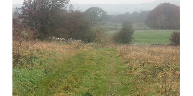 Peak E Pedal Experiences Advanced Tour