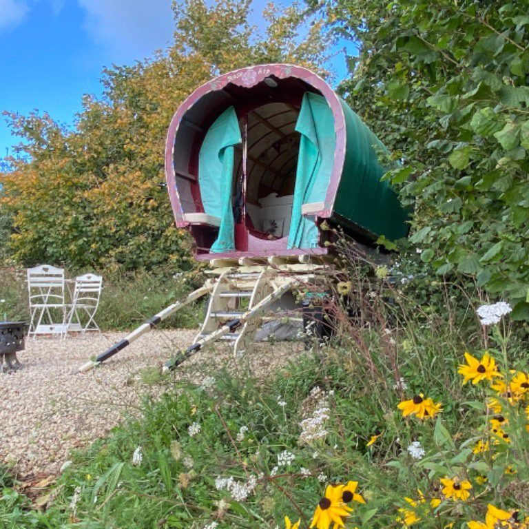 Regenerative Hoe Grange