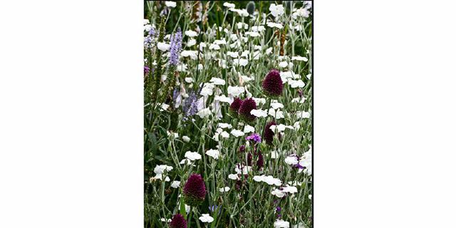 Renishaw Hall new 4 2010309867