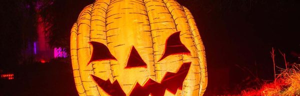 Screamtime at Elvaston Castle