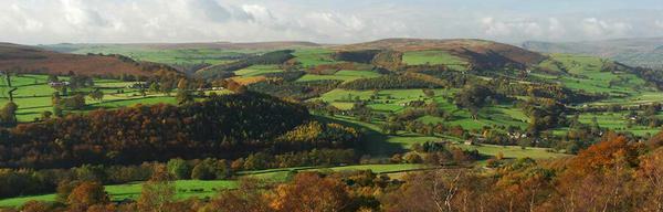 Surprise view 1971036449