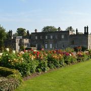Tissington Hall New flowers NEW