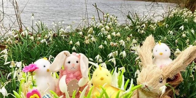 Tittesworth and Draycote Easter trail