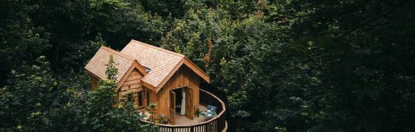 Callow Hall Hive Shot